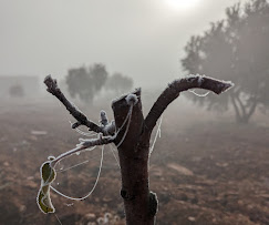 featured-portfolio-03